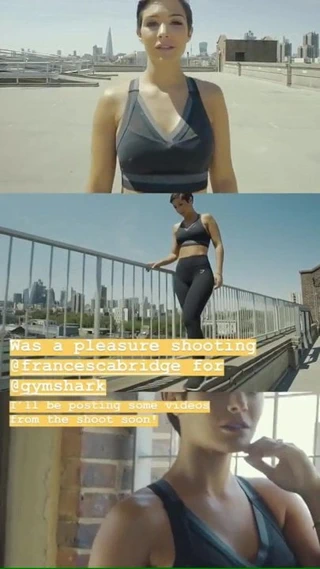 Spor salonu köpekbalığı için Frankie köprüsü çatı fotoğrafı