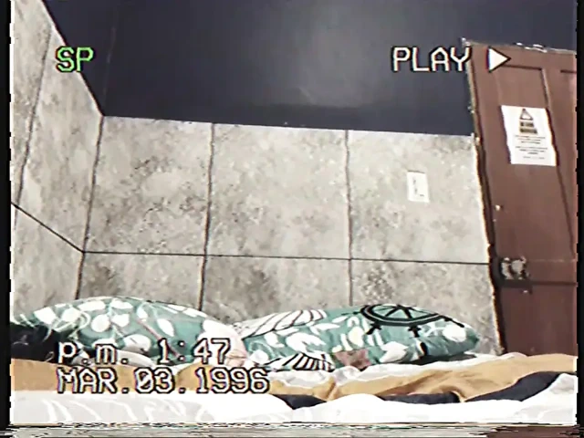 Erkek delisi cilt 6 (hostelde a)