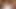 Trailer Flourish Creators Orgy December 2025