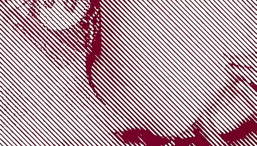 Hintçe desi bhojpuri'i tanıyor