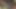 Onun yumruk derin içinde benim traş kedi