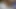 Siyah hamile kedi yeme krem ​​dolu kedi becerdin