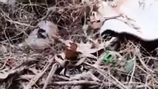 ENTEADA CUZINHO RASGADA DE PORRA NOVINHA