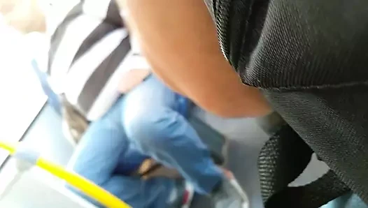 Urso maludo no onibus