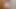 POV Striptease JOI Big Tits MILF Pee on Your Cock.