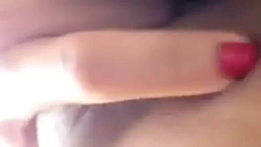 Güzel kedi yakın çekim