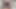 Bts teaser - lady lynn şişman amının sikilmesini istiyor - geliyor 03-13-2026