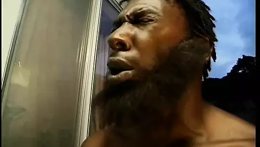 Çeşitli sanatçılar - samanlıkta ev gibi