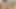 Büyük baştankara milf seviyor ona kedi dövülerek