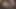 Orta yaşlı seksi kadın kaygan yarak emiyor