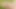 Evin sırrı #93: orta yaşlı seksi komşu hayatının en iyi orgazmını yaşıyor - erotik oyun tarafından