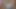 Arkadaşlarımı çıplak kavgaya zorluyorum, bu büyük götle başa çıkabilirler mi