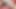 Yaramaz milf adrienne öpücük onun büyük horoz seviyor! cambaron.com