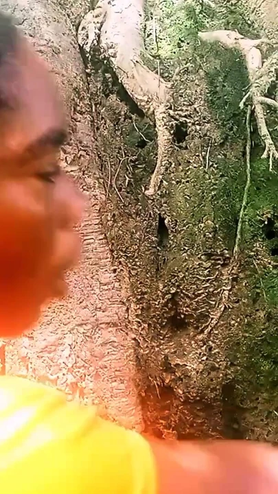 Bush'ta yüksek his | Klip 1