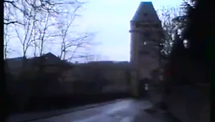 Laura Lancelot - In den Krallen der zweiten Haut