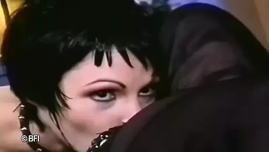 Teslim olmaya tanık