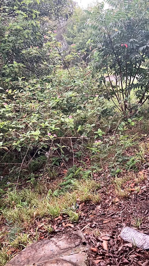 Mrkaos1 açık havada hardcore