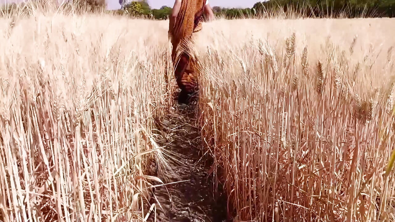 Gehun katati Hui khet mein apni chut mein ungaliyan dalkar Pani nikal rahi hai devar chupke se dekh raha hai