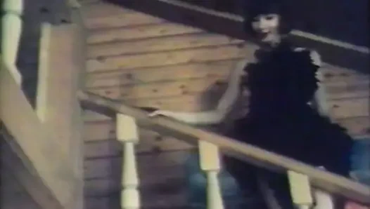 Venikler. polovye schetki (1991) 002-010 valentina grigorieva