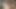 Asyalı döl yüzü