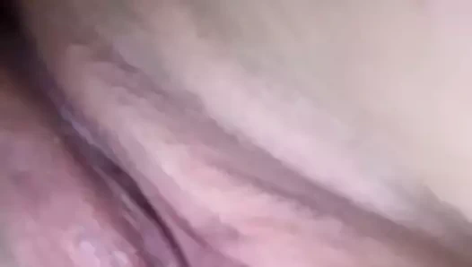 Islak kedi at iş damlayan ile boşalmak