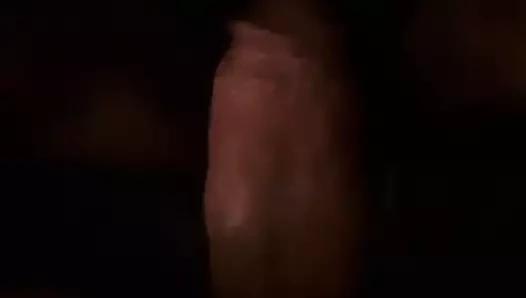 Irklararası seks