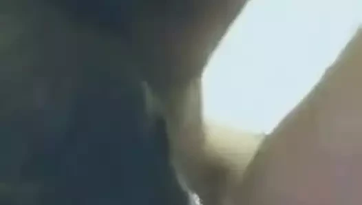 Bbc germe beyaz kedi