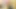 Asmr ıslak sakso bakış açısı: kulaklıkla izle