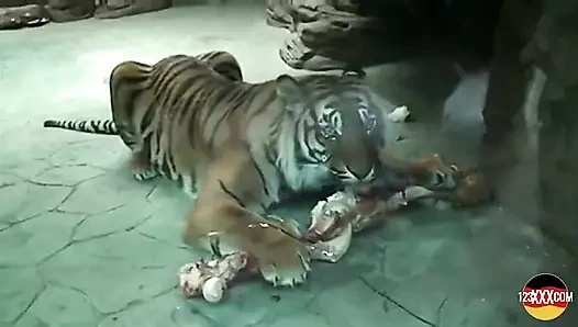 Şehvetli sarışın parkta sikiliyor