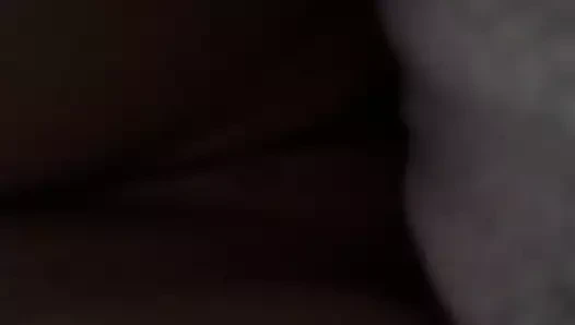 figetta çimen