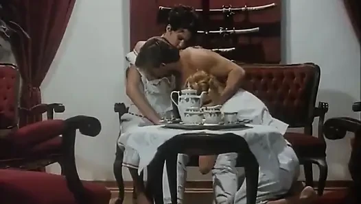 Mutlu bir dul - cilt. #01