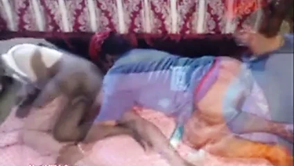 Trannys gets çük ve ganimet dipping ıslak