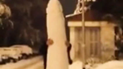 Winter joy - Zimske radosti