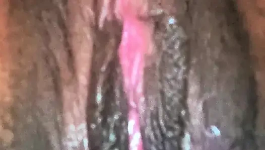 All My Pussy