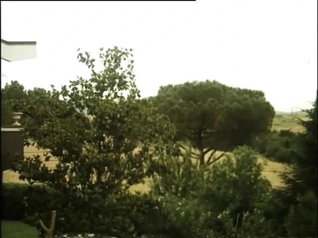 Ateşli Erkek Delisi Marina