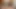 I suck my fat neighbor's dick while my husband is away at work