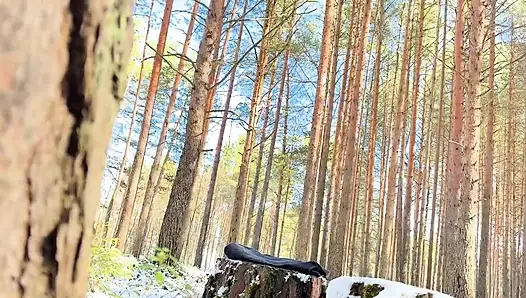 Freeze Time Woods ürkütücü komşu sevimli 31 talimatını donduruyor
