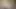 Güzel genç model meme ucuyla dildo emmesinin tadını çıkarıyor