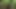Fuck and Suck BIG Tits Stranger in Woods