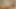 Inked genç adam ham kâkül onun köpek stili ve onu boşalmak yapar