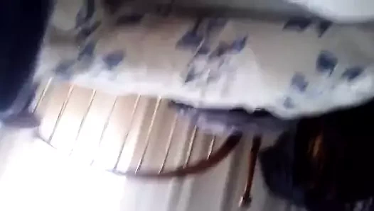 Follando a cuatro patas