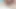 Dev bir penis acımasızca beni seviyor