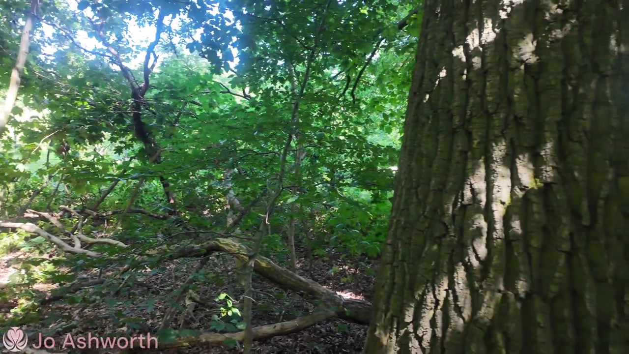 Just Went for a Walk in the Woods... Left with Cum Dripping Down My Ass.