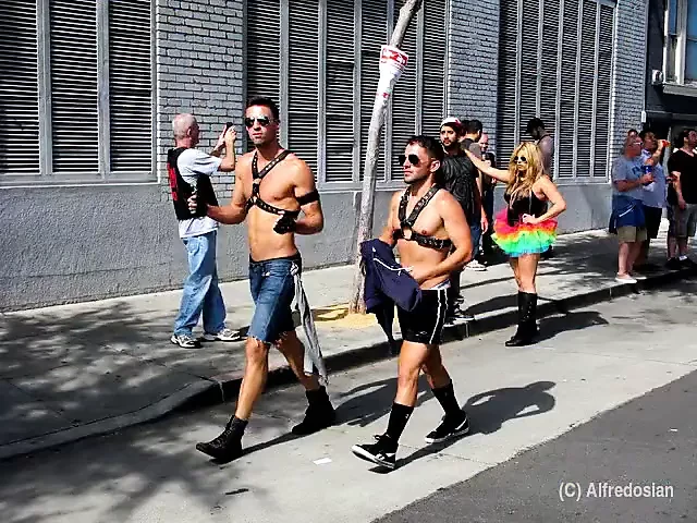 folsom sokak fuarı 2013