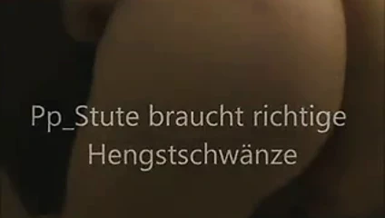 aktiven versauten Hengste die mich zu ihrer Sau machen