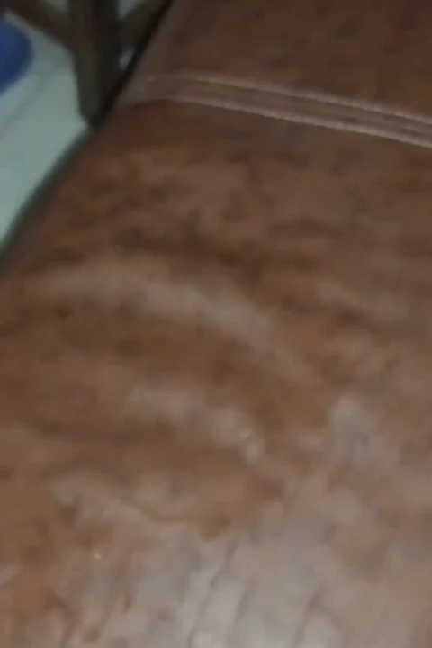 Eve hony üvey erkek kardeşimin büyük yarağına geldim