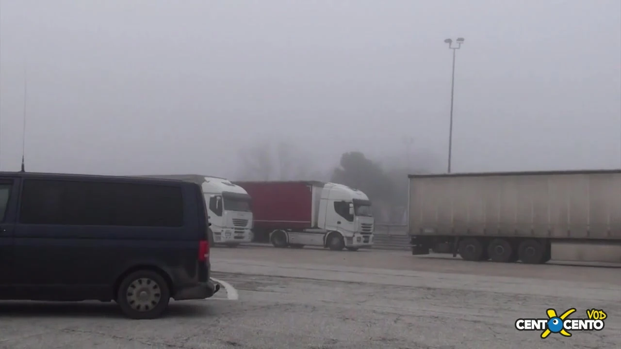 दो चूत चाटने वाले marpions के बीच होगा