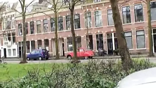 Latoya - kayıp köpeği