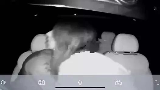 Luton paki dashcam tarafından yakalandı