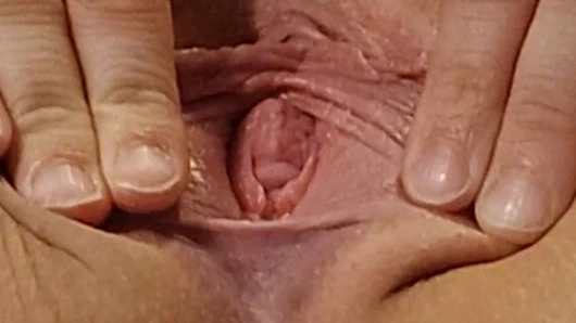 Lezzetli kedi yakın çekim